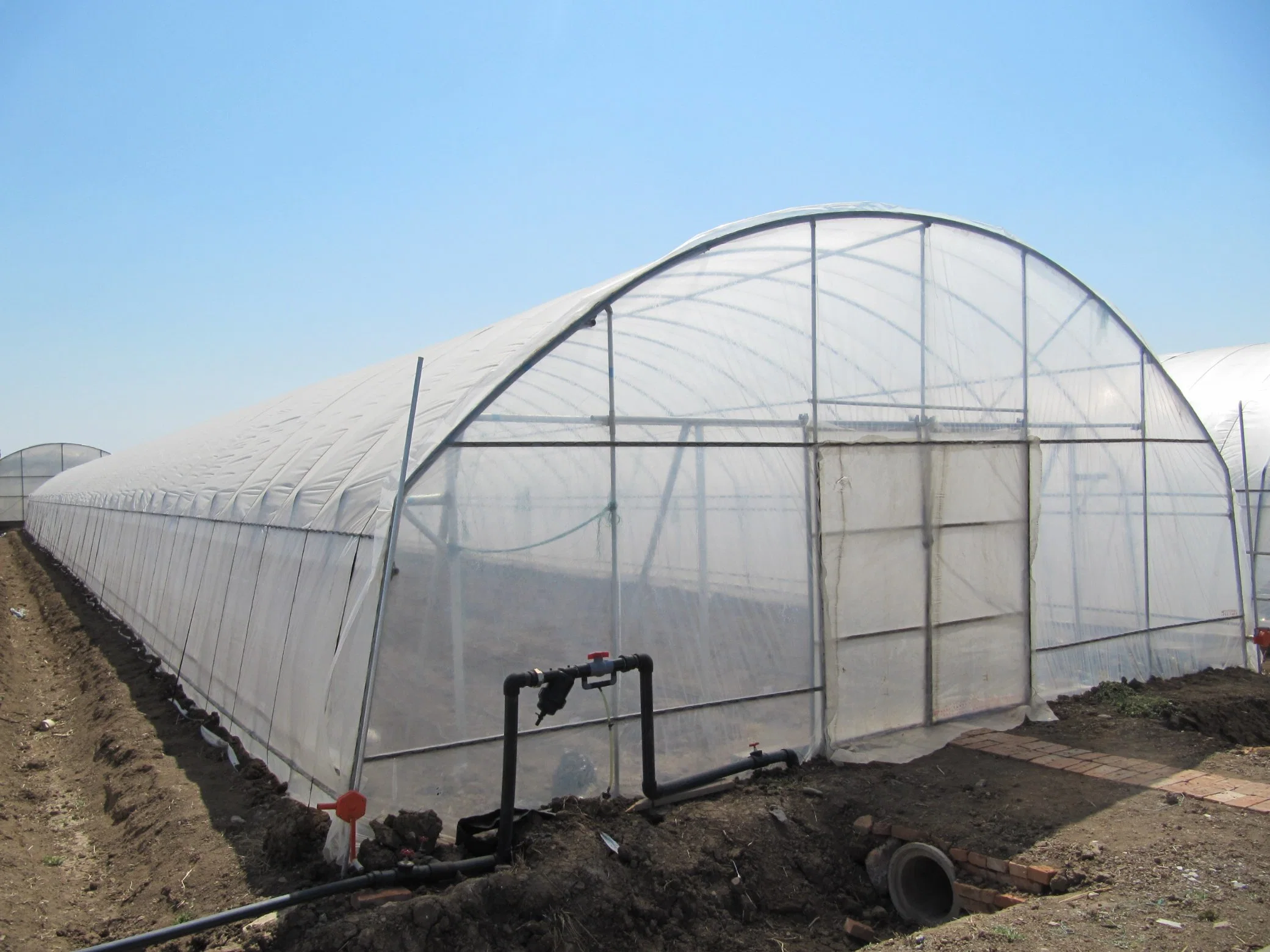 Película plástica tratada con UV, película de invernadero transparente para uso agrícola para cobertura de invernadero a buenos precios