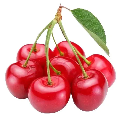 Comext Natural Fresh Fruit Extract Juice Powder Tart Cherry Juice Powder