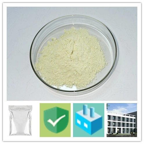 Wuhan Yiro Source Factory Supply Pteroic Acid Powder 99% Pteroic Acid N10- (TRIFLUOROACETYL) CAS 119-24-4 with Wholesale Price