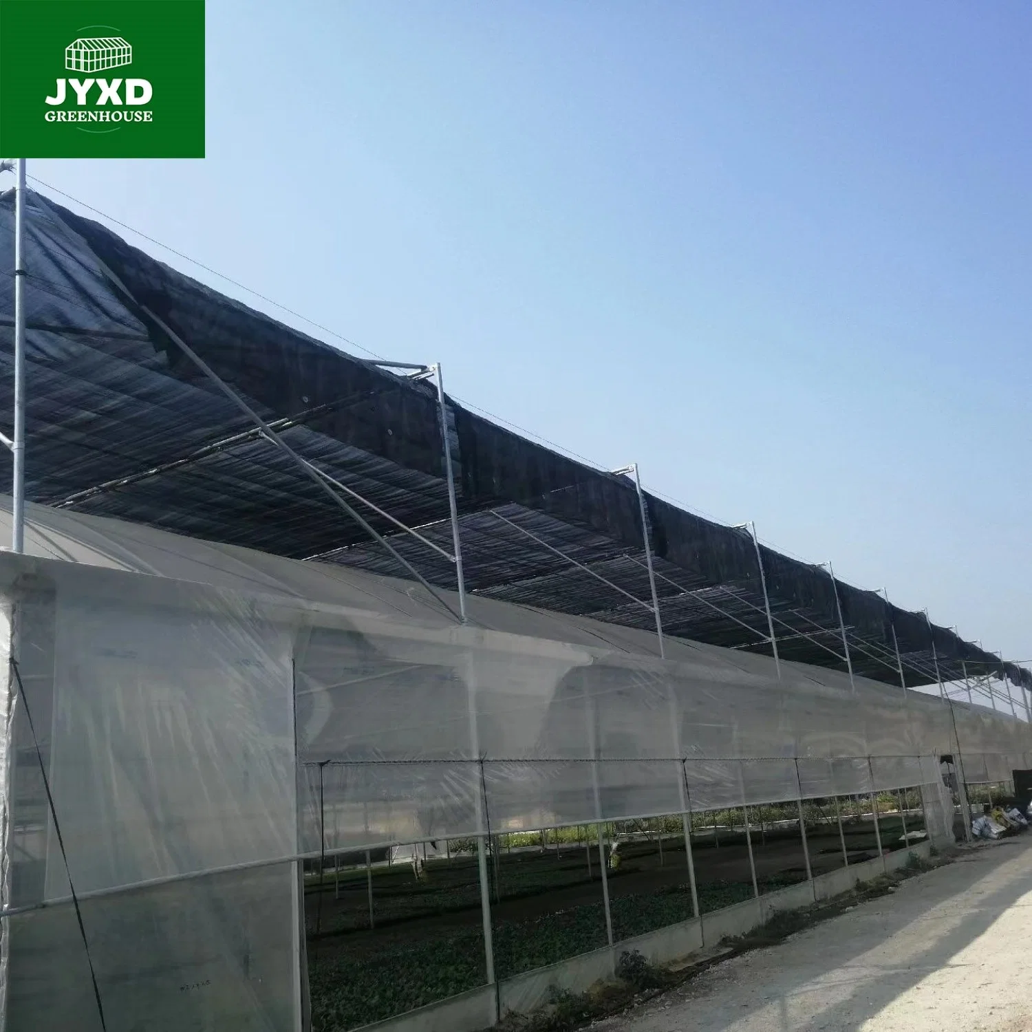 Best Design Commercial Plastic /Po Film Greenhouse for Tomato and Vegetable