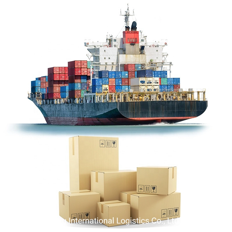 Maston Fast Ship DDP Sea Shipping+UPS/FedEx Delivery Services pour nous