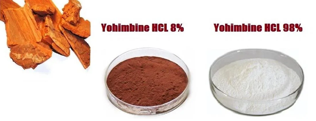 Extracto de corteza de alta calidad Yohimbina Yohimbina HCl polvo