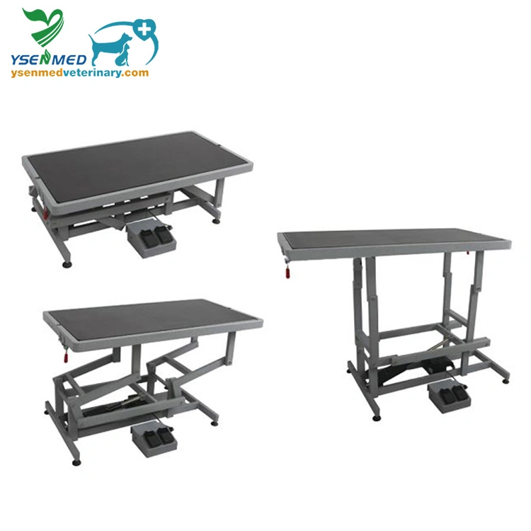 Medical Equipment Electric Lifting Ysft-806 Pet Clinic Grooming Table Animal Beauty Table