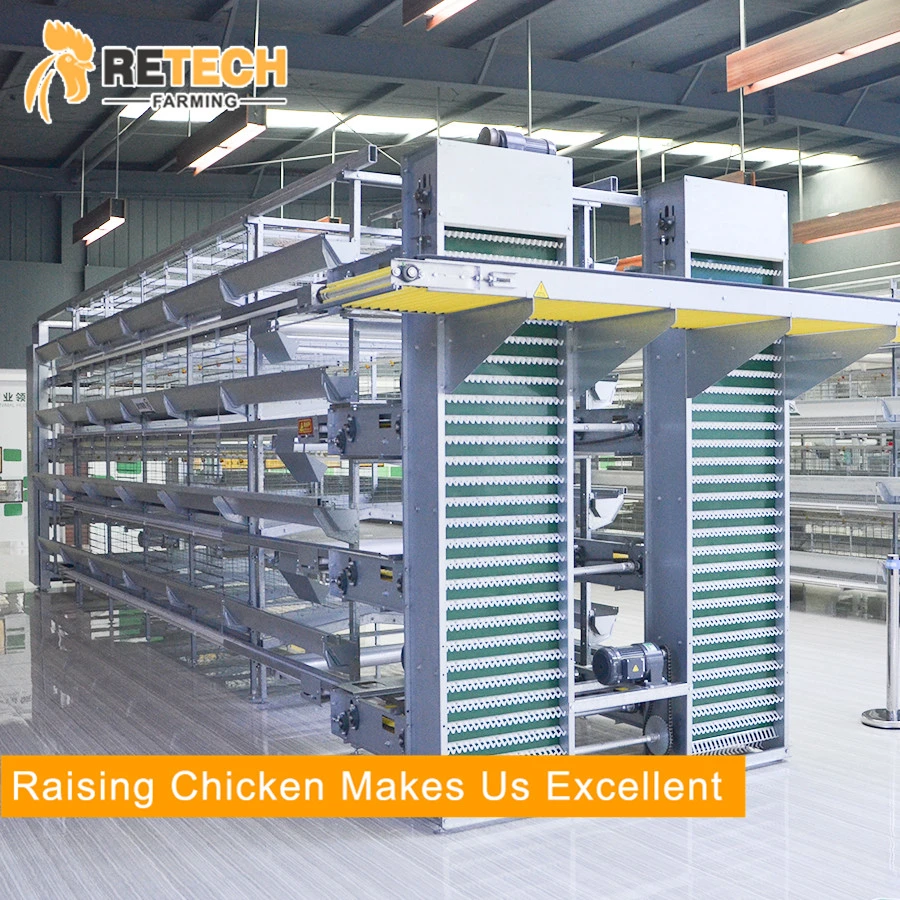 Good Price Automatic Poultry Farm Equipment Battery Layer Chicken Cage for Sale