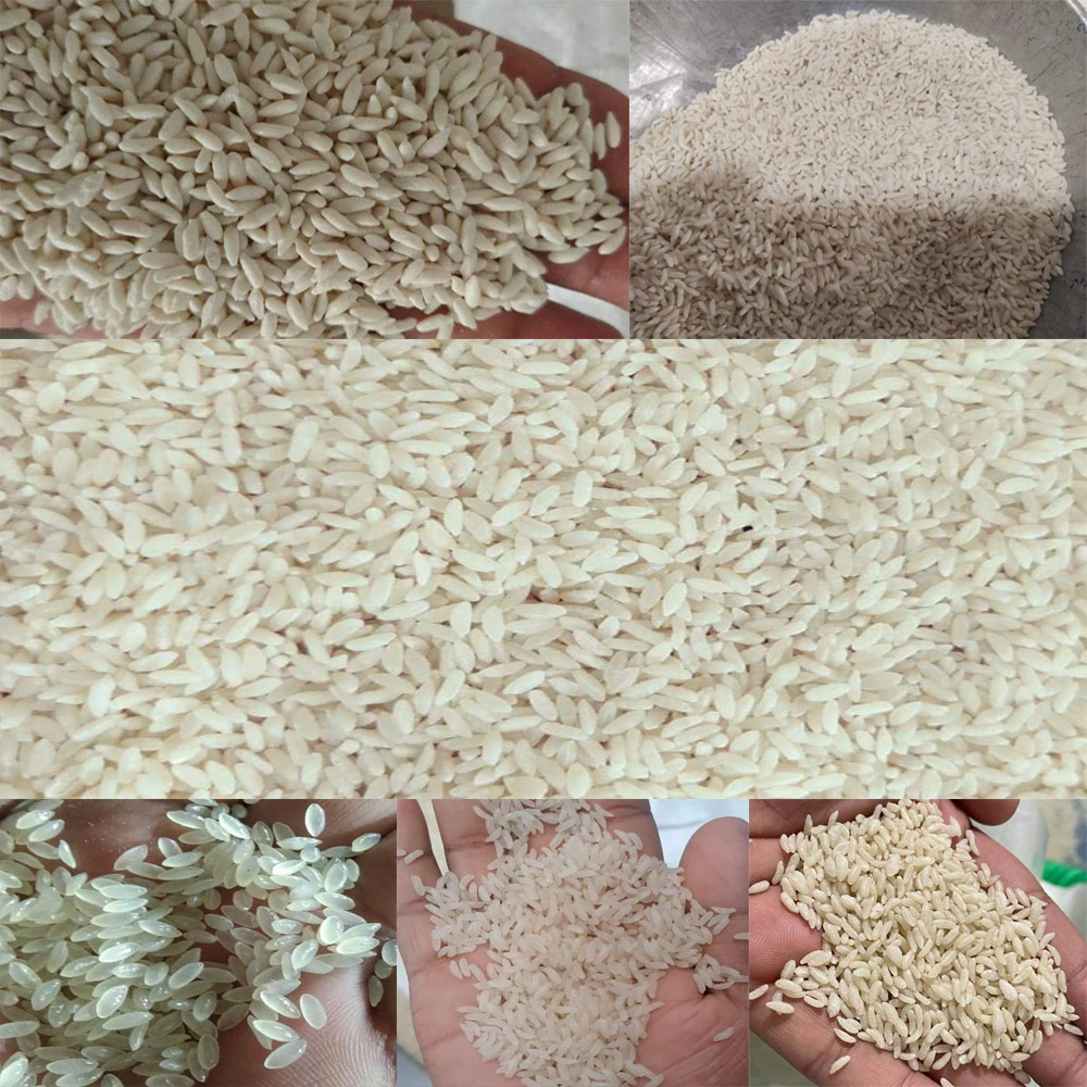 Organic Instant Rice Meals Production Line Machines Micro-Nutrient Fortified Rice Production Plant Equipment