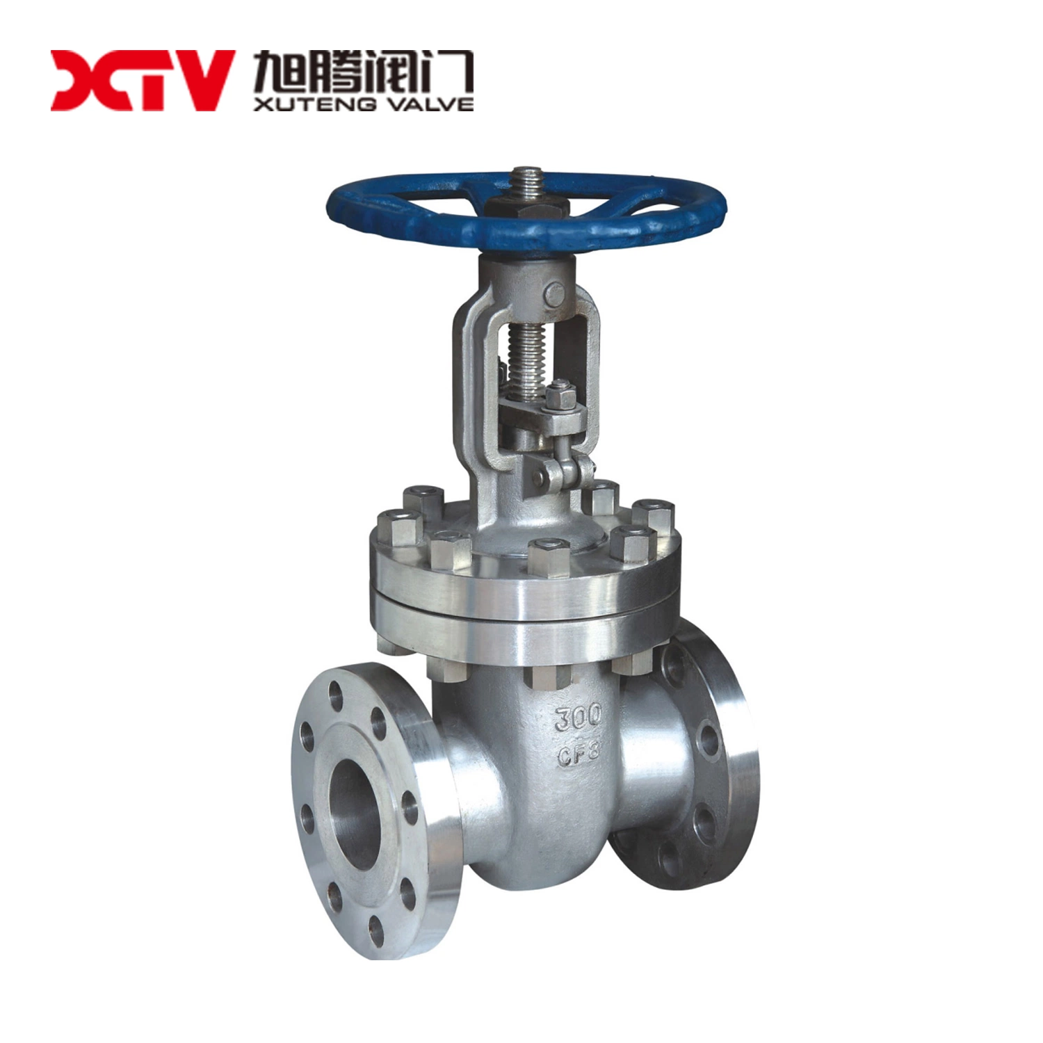 Xtv ANSI Carbon Steel Wedge Type Double Gate Valve