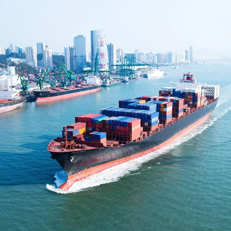 Sea Shipping Cargo Consolidation Shenzhen to Spain Valencia/ Cartagena LCL Logistics Agent