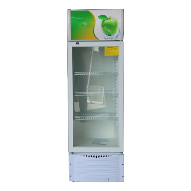 Single Door Vertical Refrigeration Equipment Supermarket Drinks Area Storage Showcase Fridge