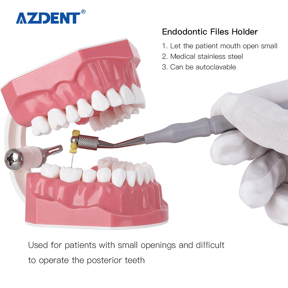 Suporte de arquivo de mão endodôntica mais prático com preço mais barato
