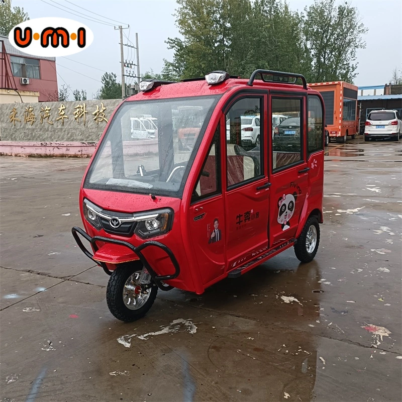 L7e EEC Certificate Electric Car Enclosed Passenger Vehicle Cheap Small SUV Electric Car for Adult