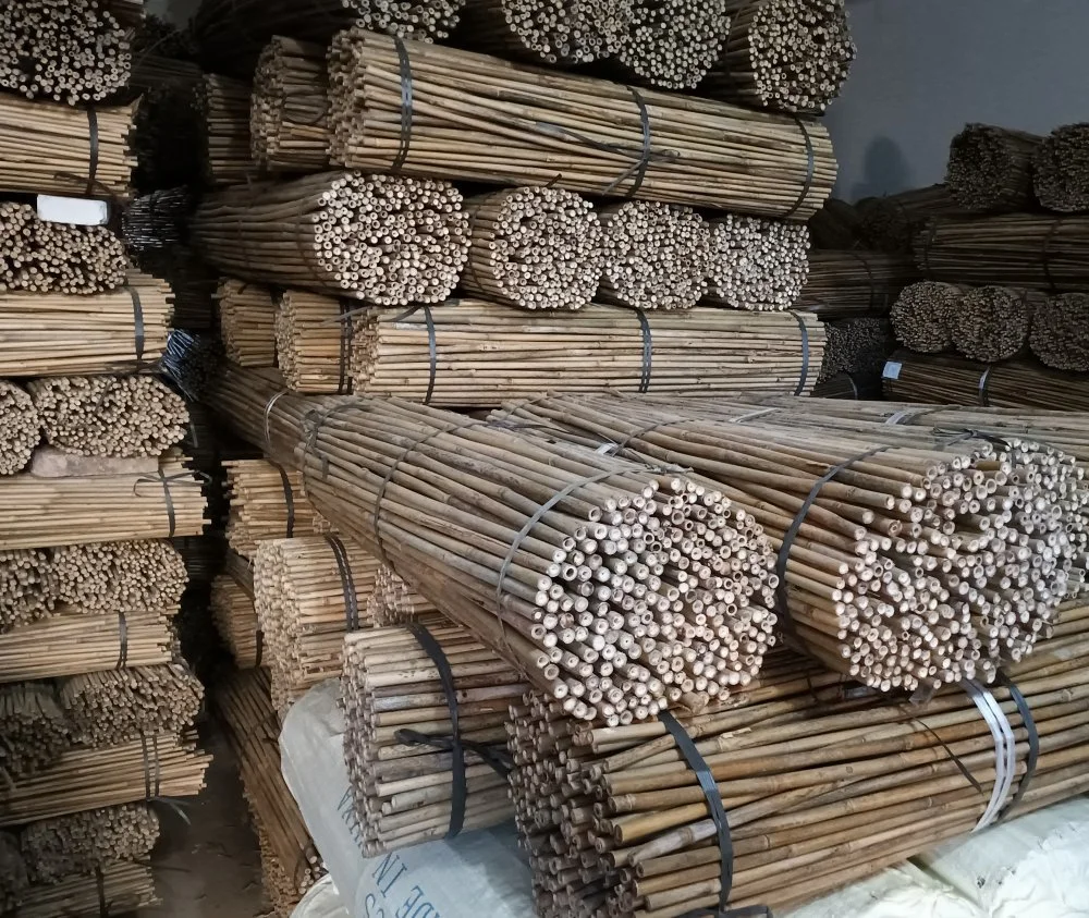 Bâton de soutien d'usine en bambou / en bambou pour l'agriculture