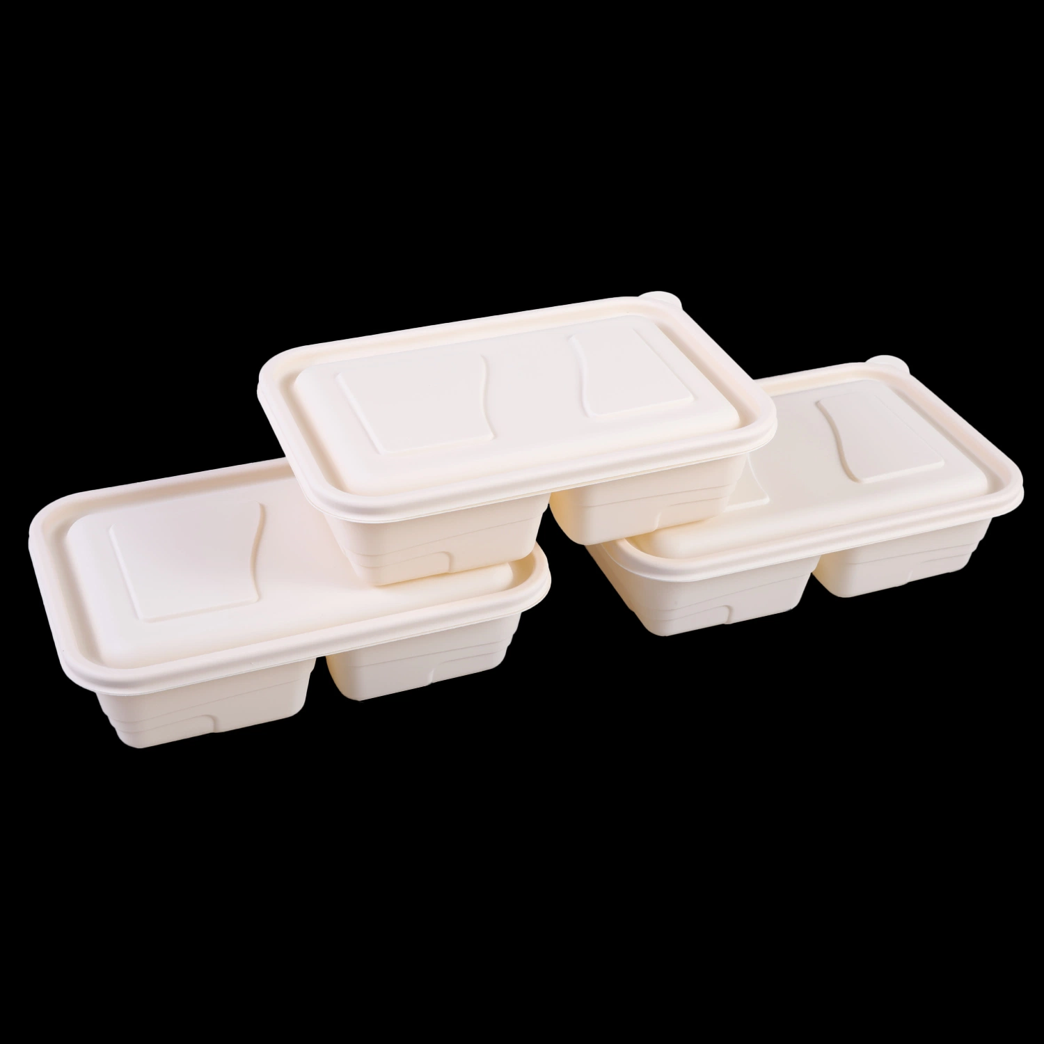 Eco-Friendly Biodegradable Takeaway Food Container Disposable Tableware Fast Food Box with Cover