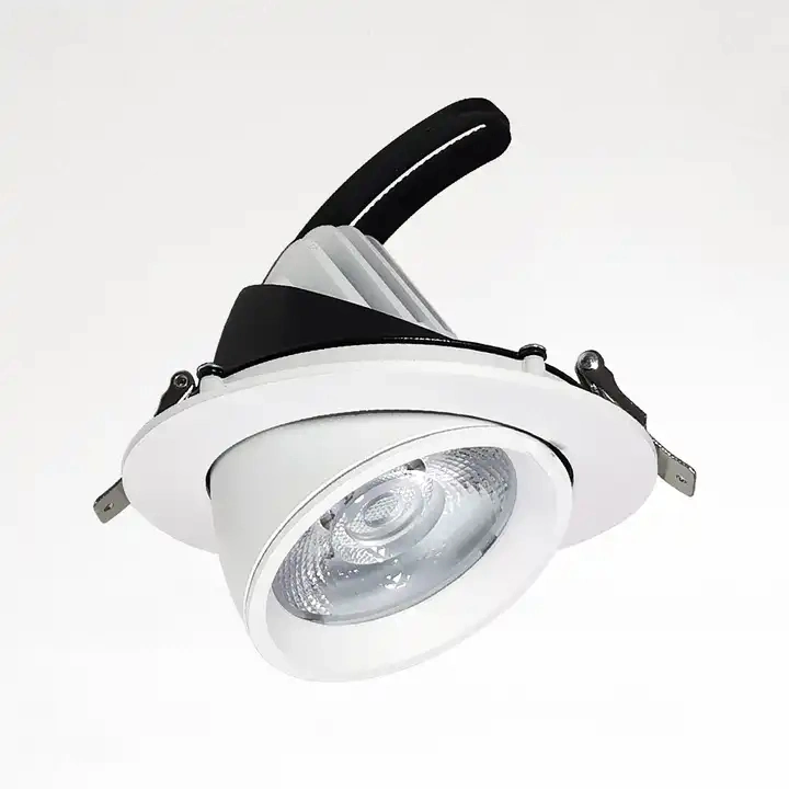 Moderne COB Elephant Trunk Embedded LED Spotlight Downlight 2700K 3000K 4000K 5000K CCT Winkel einstellbar dimmbar OEM Top-Qualität Preisgünstig, Rotary IP20