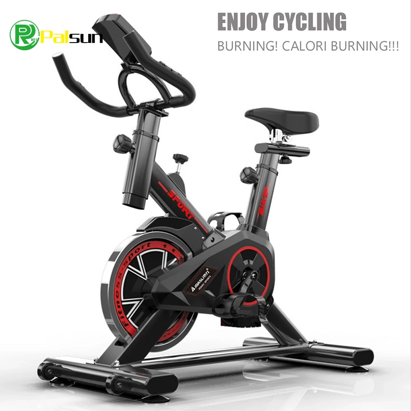 Household Ultra-Quiet Magnetic Control Fitness Spinning Bike Family-Specific Exercise Bike Sports Weight Loss Indoor Bicycle