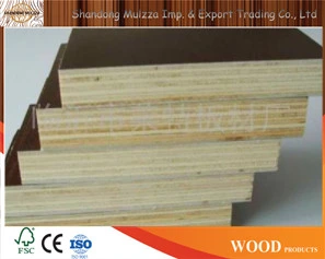 9-21mm Building Materials Film Faced Plywood with Best Price