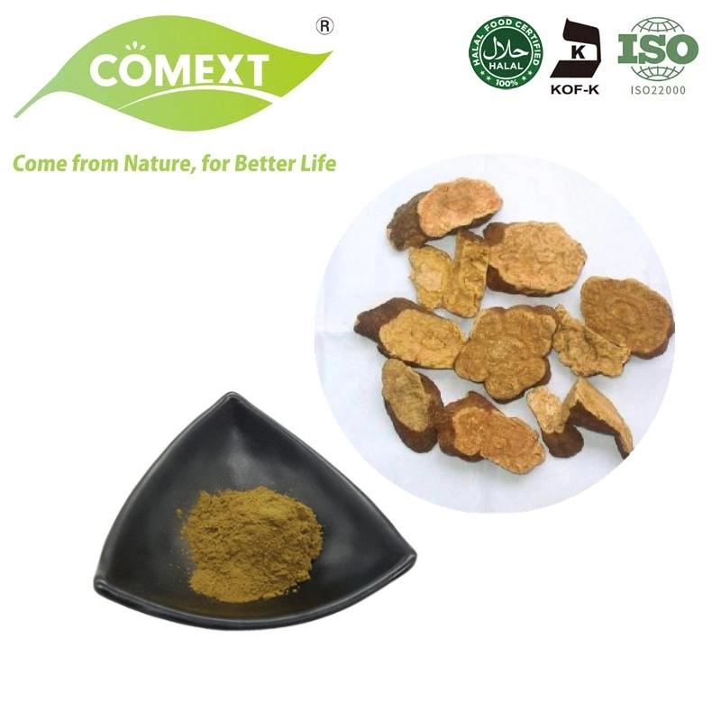 Comext Chinese Herb Extract He Shou Wu Extract