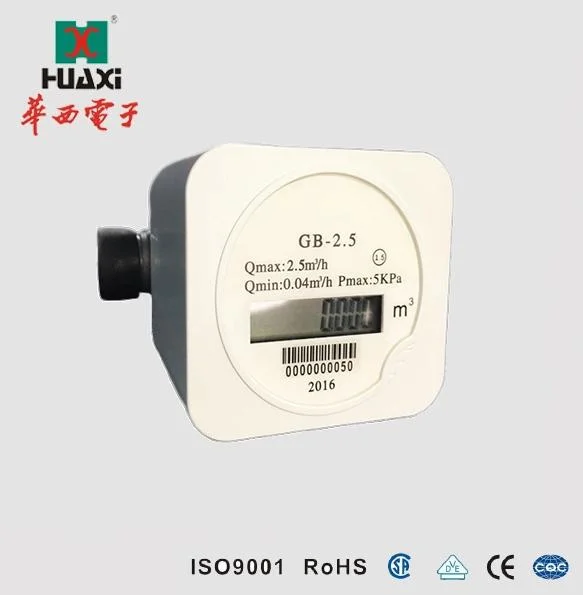 Compteur de gaz à ultrasons Micro industriel GO-2.5
