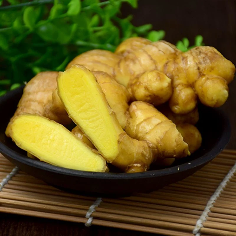 Wholesale/Supplier Organic Fresh Ginger From China