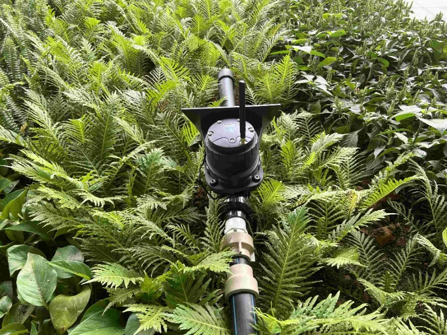 Lora/GSM basados Energía Solar Riego por Goteo para el campo de maíz dulce