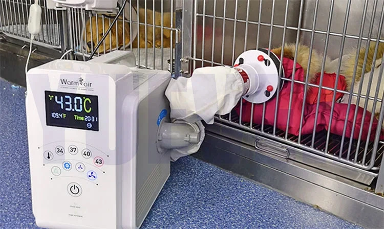 Medical Equipment Veterinary Automatic Air Warming System for Vet Use