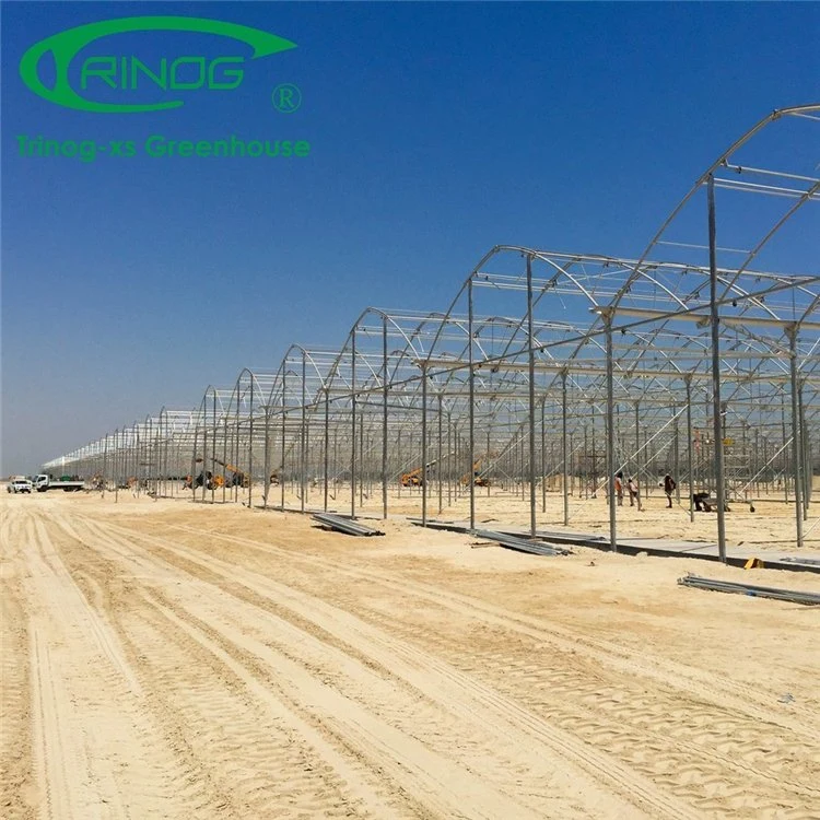 Low Cost Agricultural Multi-Span Film Greenhouse with Shading System for Vegetable Growing