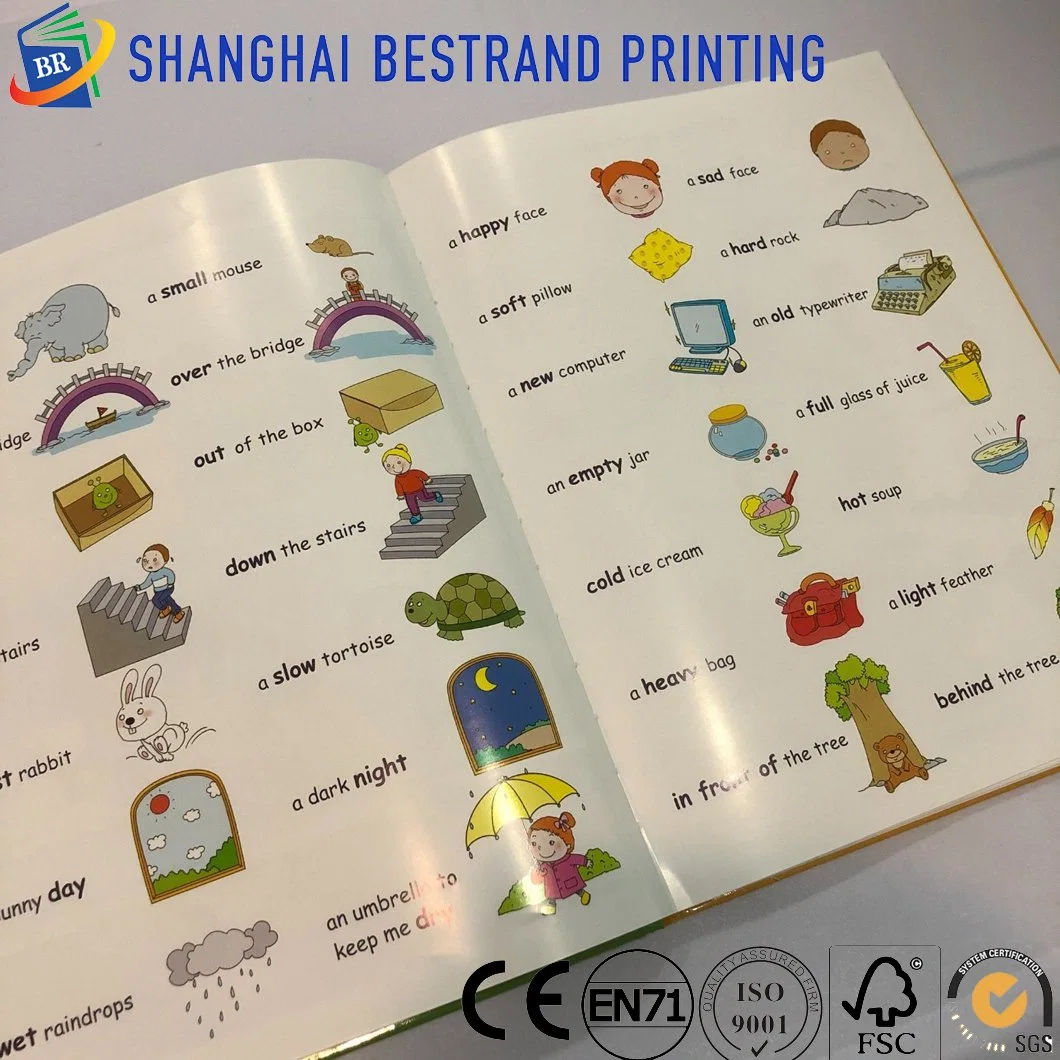 High End Hardcover Children Book Printing with Slip Case