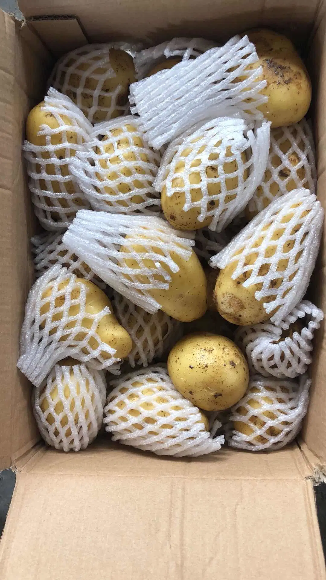 2019new Crop/Top Quality/for Global Market/Fresh Potato (90g and up)