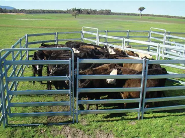 Livestock Farm Equipment Cattle Metal Fence Panel