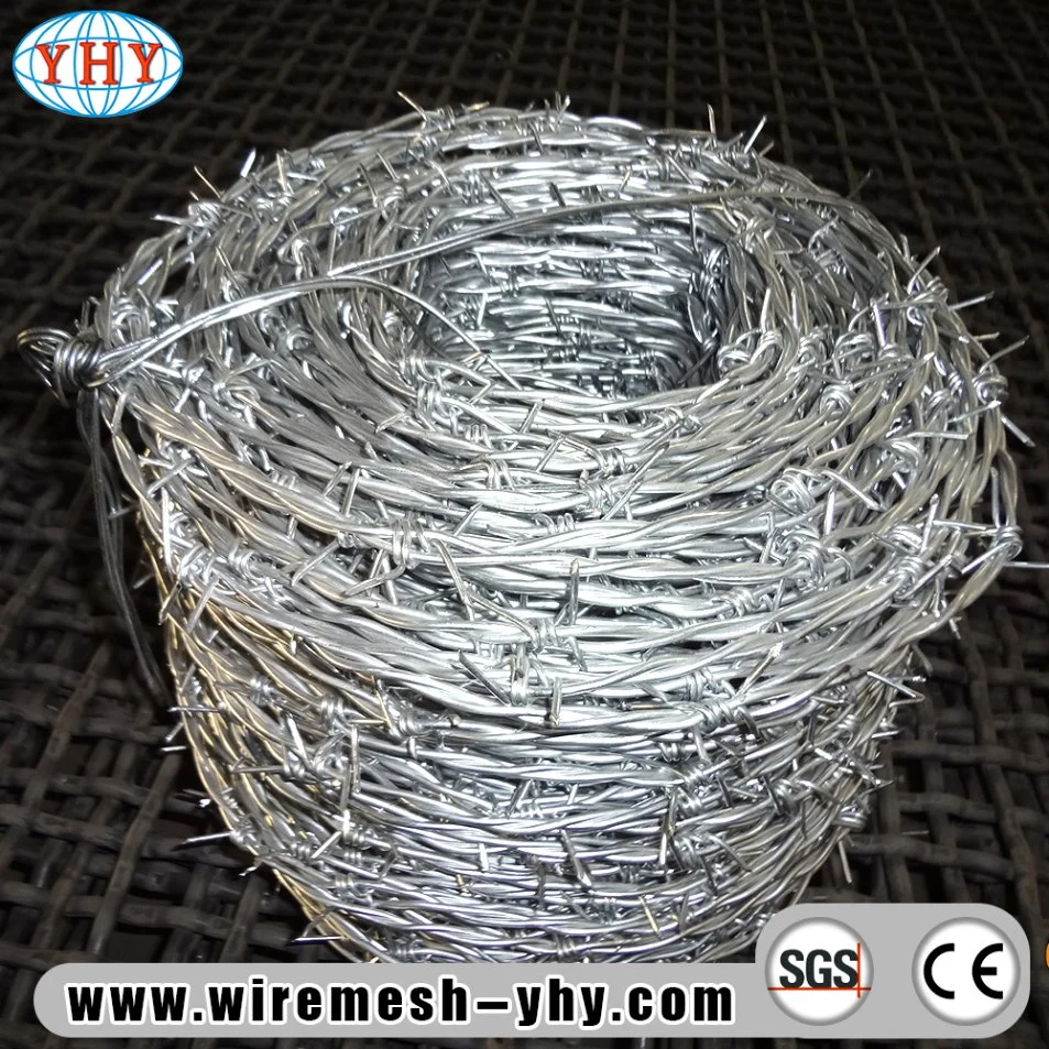 Low Price Hot Dipped Galvanized Iron Barbed Wire