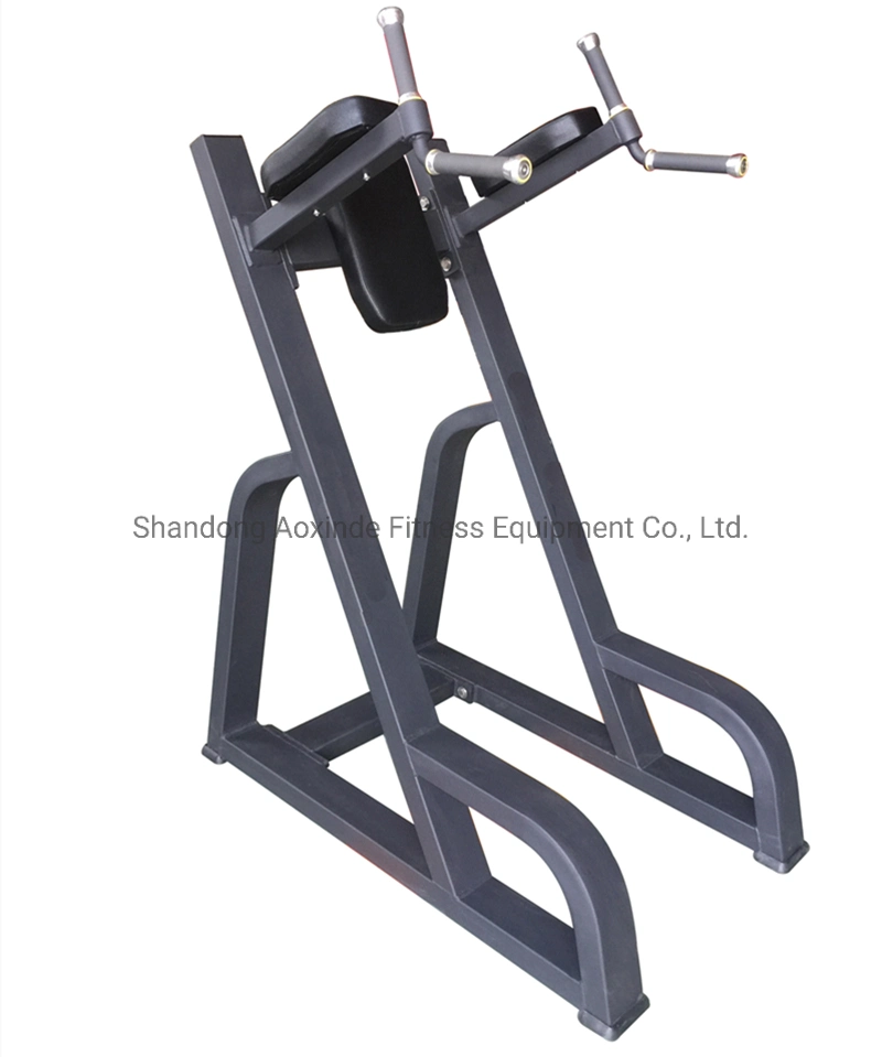 Commercial Fitness Equipment Body Building Gym Vertical Kness up/DIP Axd5047