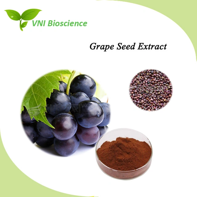 Kosher Certified 100% Natural Grape Seed Extract