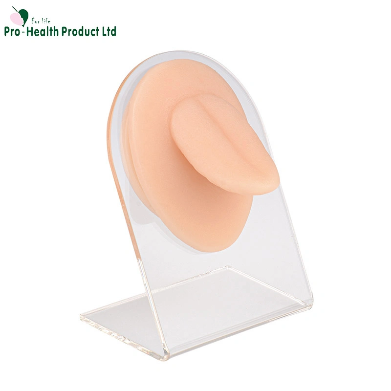 Silicone Tongue Model, Imitation Mold for Piercing Practice and Jewelry Display