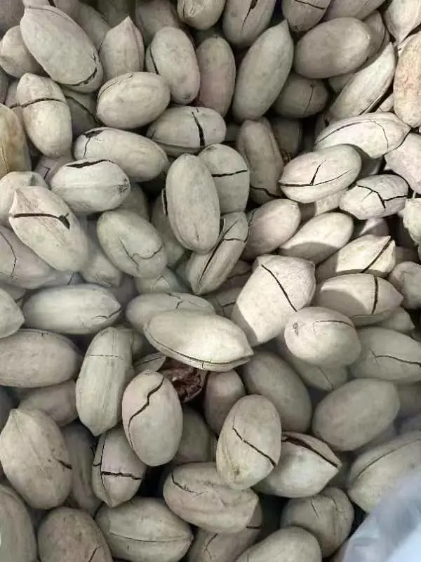 Roasted Bleached Pecans Directly Sale Factory