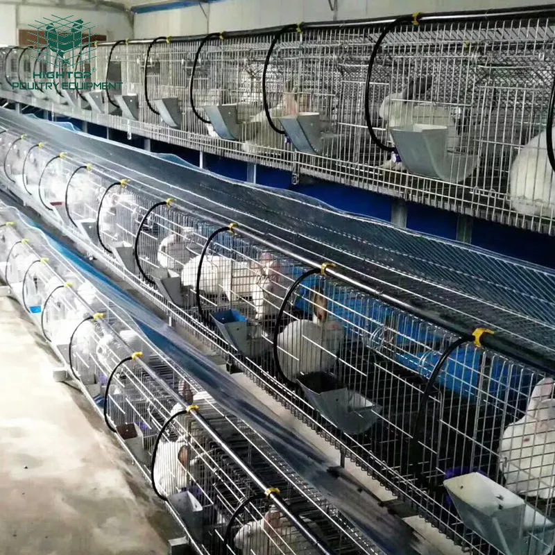 Cage de lapin à 2 niveaux Tier 3 pour alimentation Hightop pour le commerce Production de viande de lapin
