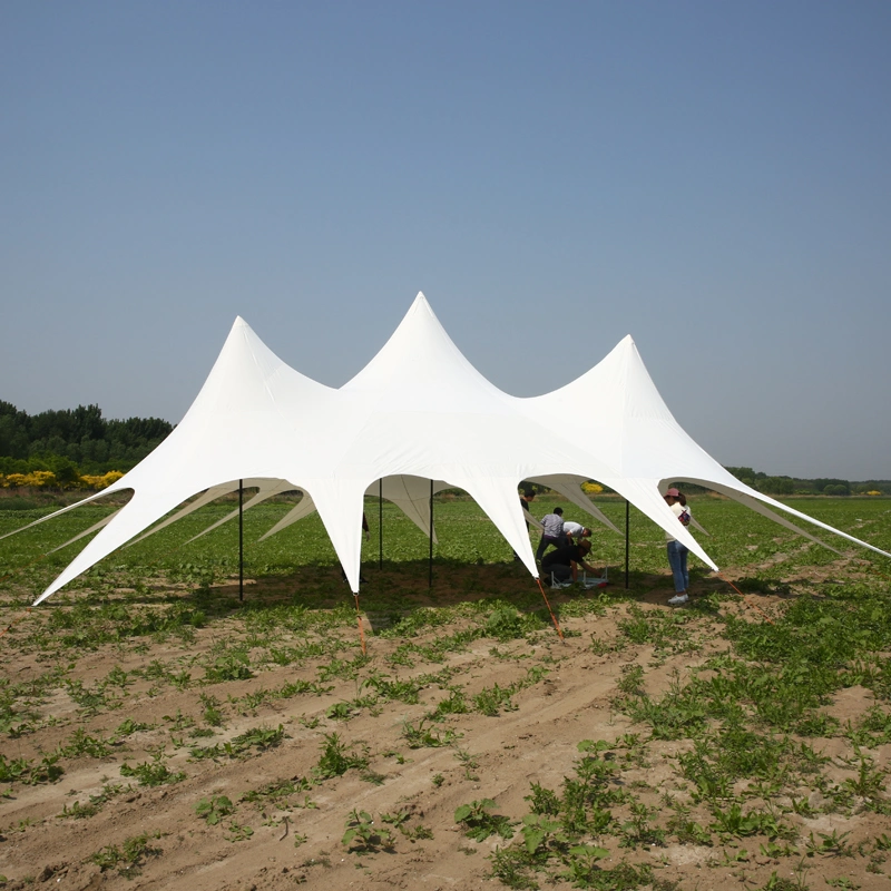 High Strength Factory Supply Tent Camping Metal Frame