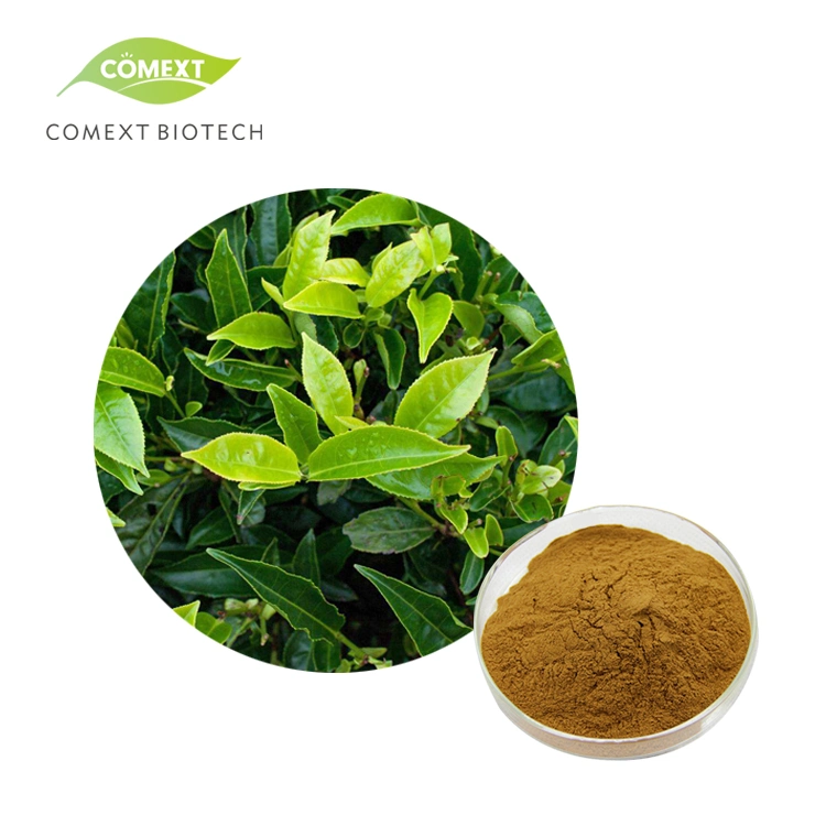 Comext Free Sample Water Soluble 40%~98% Polyphenols Green Tea Extract