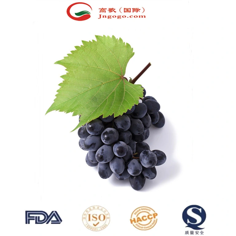 Kyoho Grape fresco de Lujo Embalaje de miel Alimentos