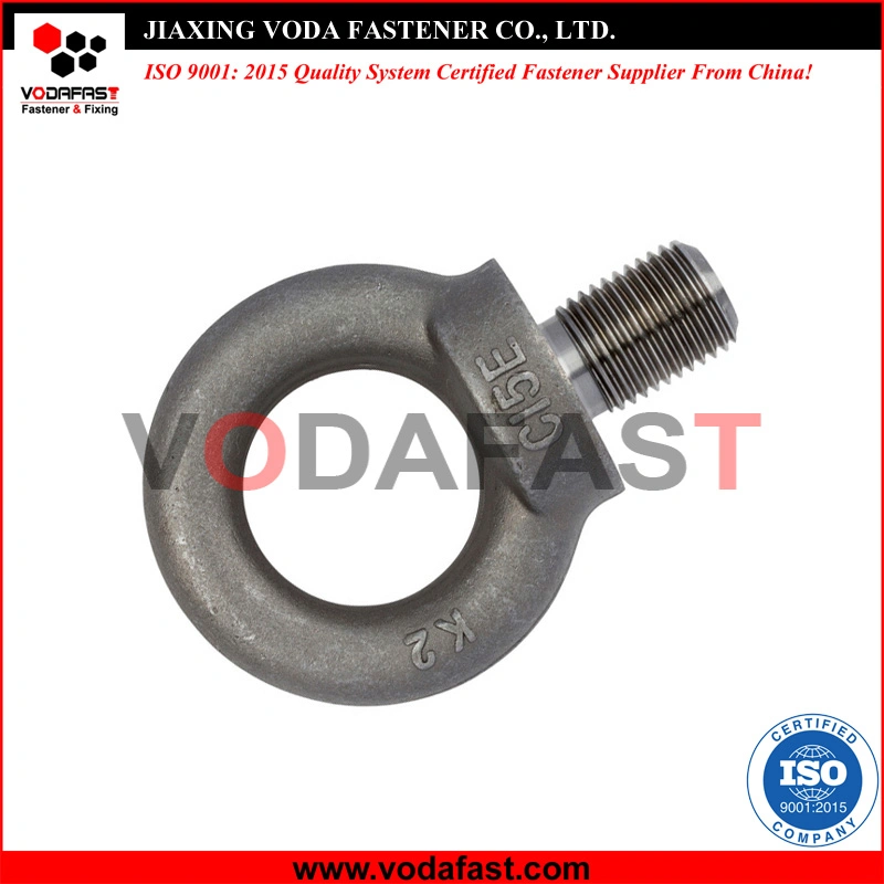 Vodafast DIN 580 Lifting Eye Bolt Plain