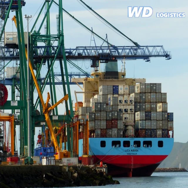 DDP Sea Freight with China Shipping Agent for Container Shipping and Shenzhen Warehouse Service to Southeast Asia USA UAE UK Worldwide with Custom Clearance