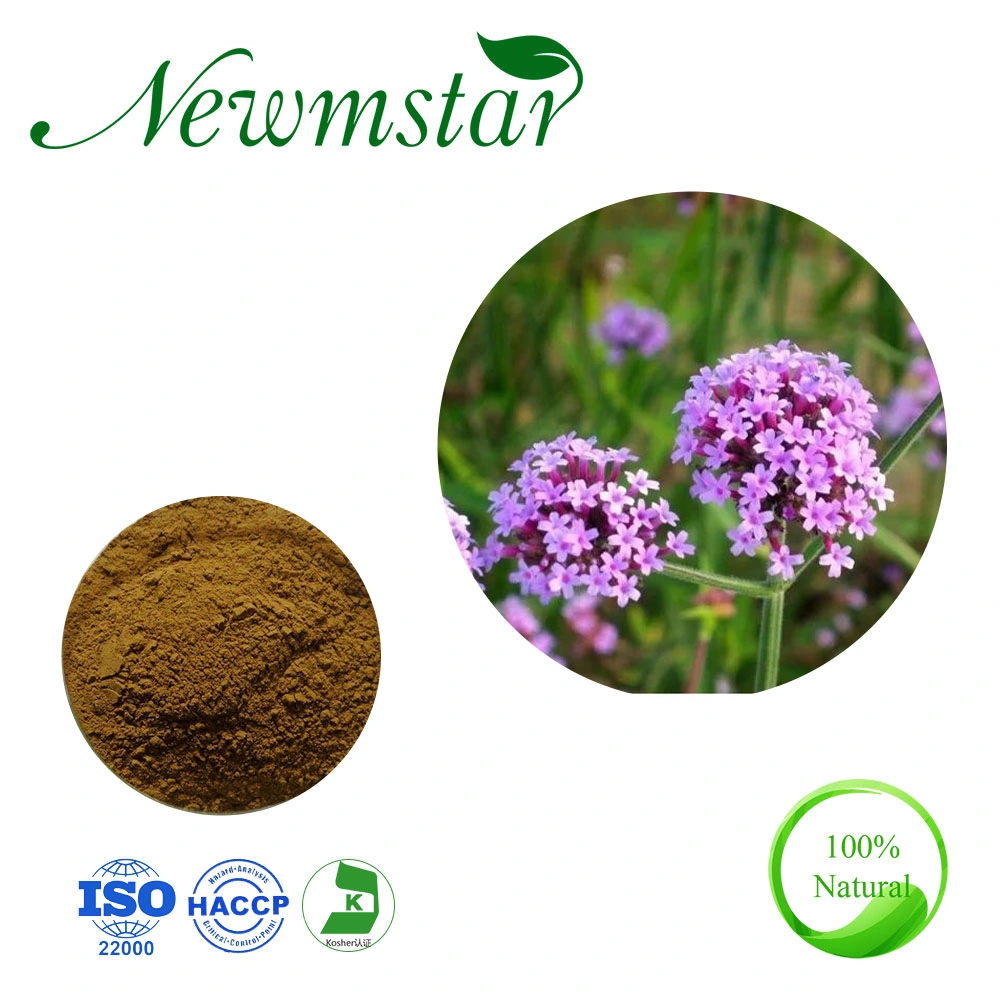 Extracto de Verbena certificado ISO Extracto de Verbena de limón Extracto de Verbena Lippia citriodora