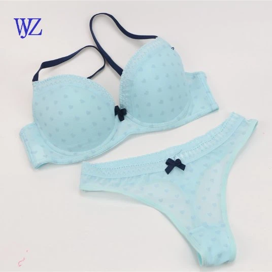 Women Plus Size Bra Sexy Ladies Nightwear Bra & Brief Underwear Set