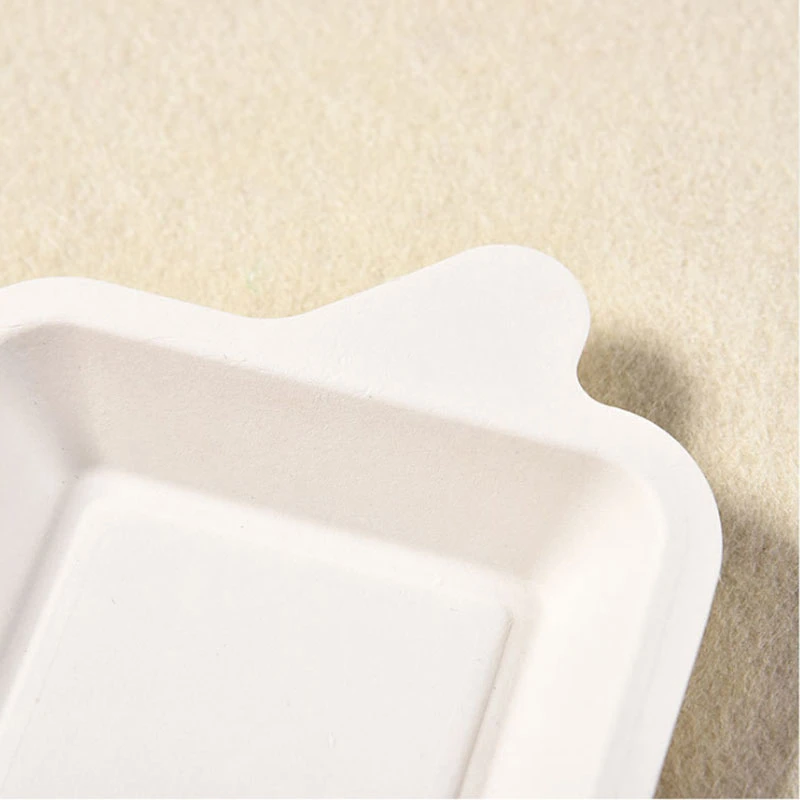 Eco-Friendly Disposable Sugarcane Cake Plate Party Supply