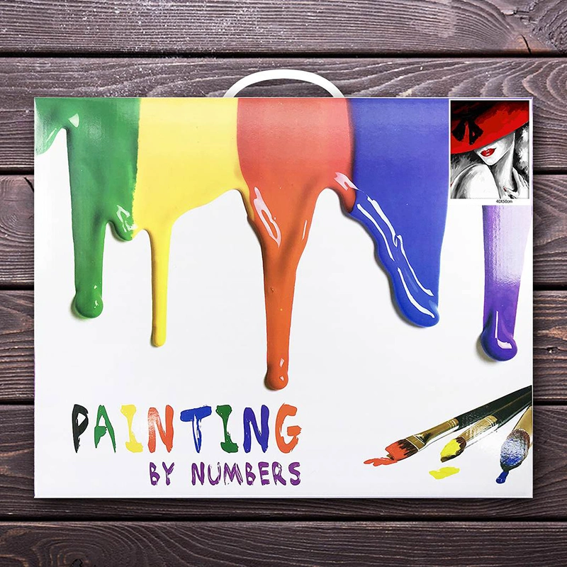 Painting by Numbers Girl DIY for Adult or Kid