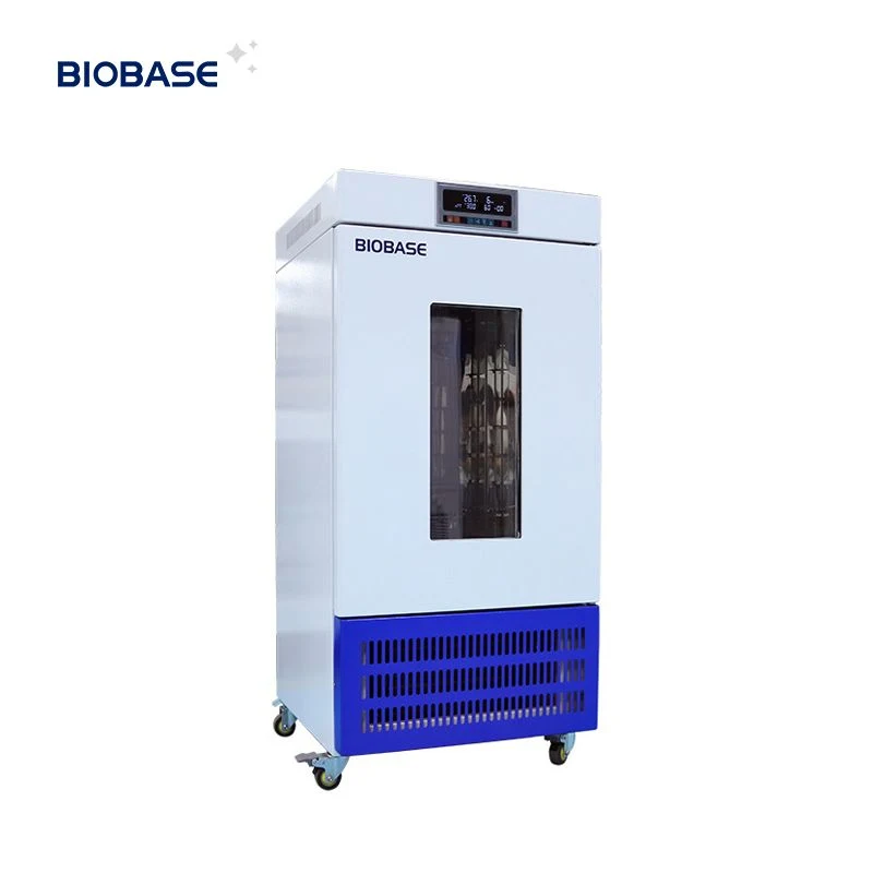 Biobase China Big Mould Incubator for Microbiology Laboratory