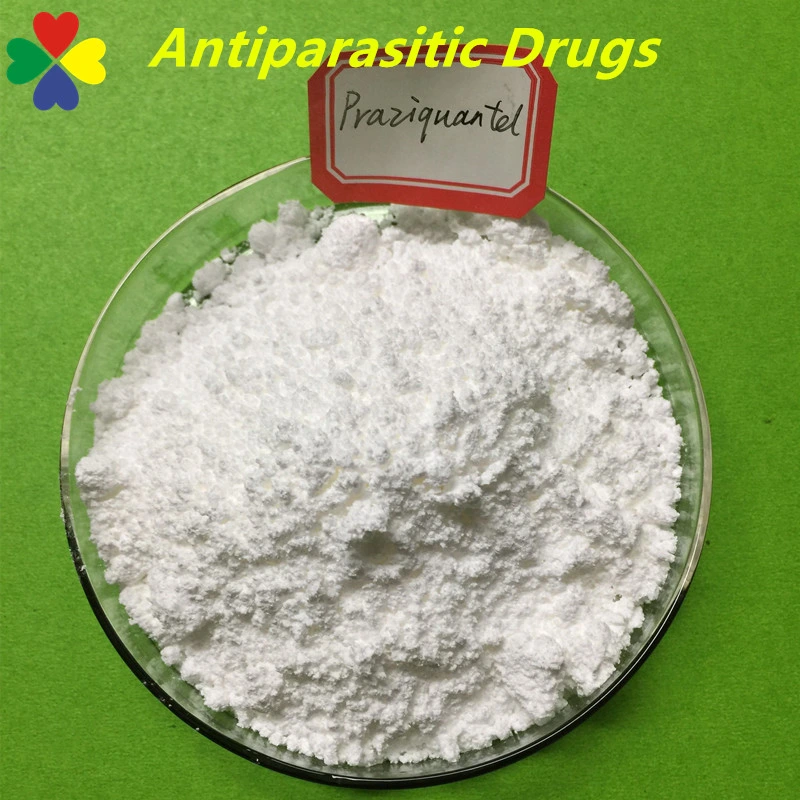 Best Selling Antiparasitic Praziquantel Veterinary Drug