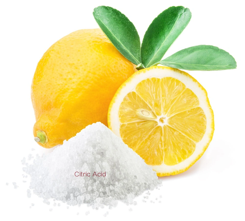 Citric Acid Monohydrate Food Grade Low Price Ensign CAS 5949-29-1