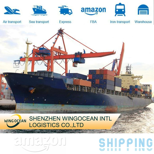 DDP Sea Shipping Logistics Company Door to Door Delivery Service China nach Großbritannien/Deutschland/Frankreich/Spanien/Italien