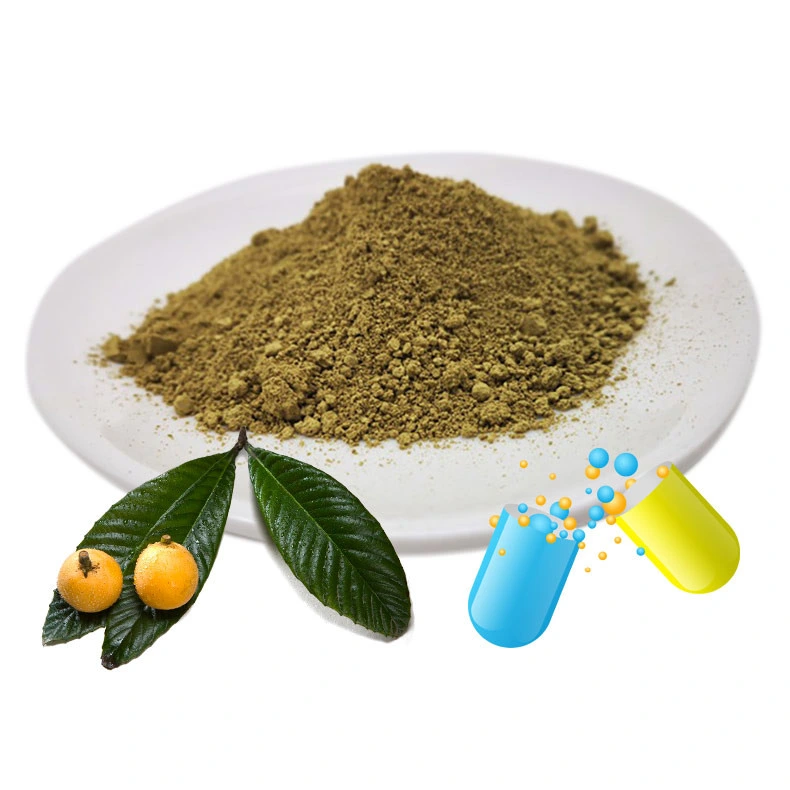 Extracto de hierbas planta antidiabético insulina Loquat ingrediente ácido Corosolic Extracto de la hoja de un 20% HPLC.