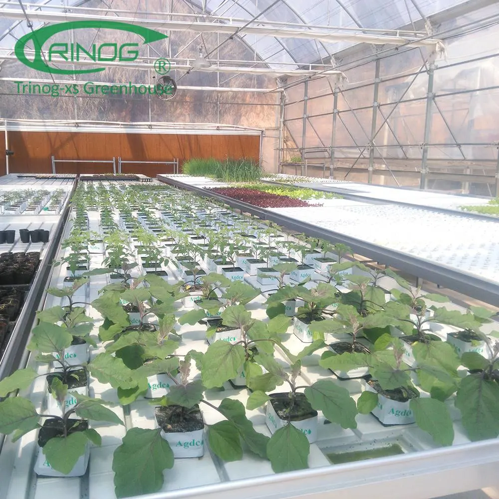Sparsamer Anbau Hydroponics System Film Landwirtschaftlichen Green House für Gemüse Wachstum