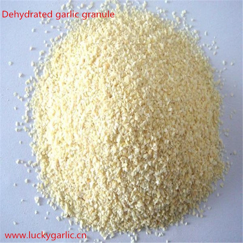 Chinese Producer of Dried Garlic Granule